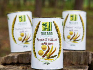 Foxtail Millets