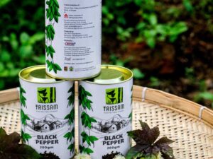Black pepper (Pods)