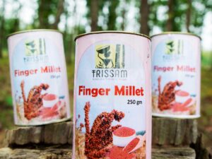 Finger Millets