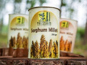 Sorghum Millets